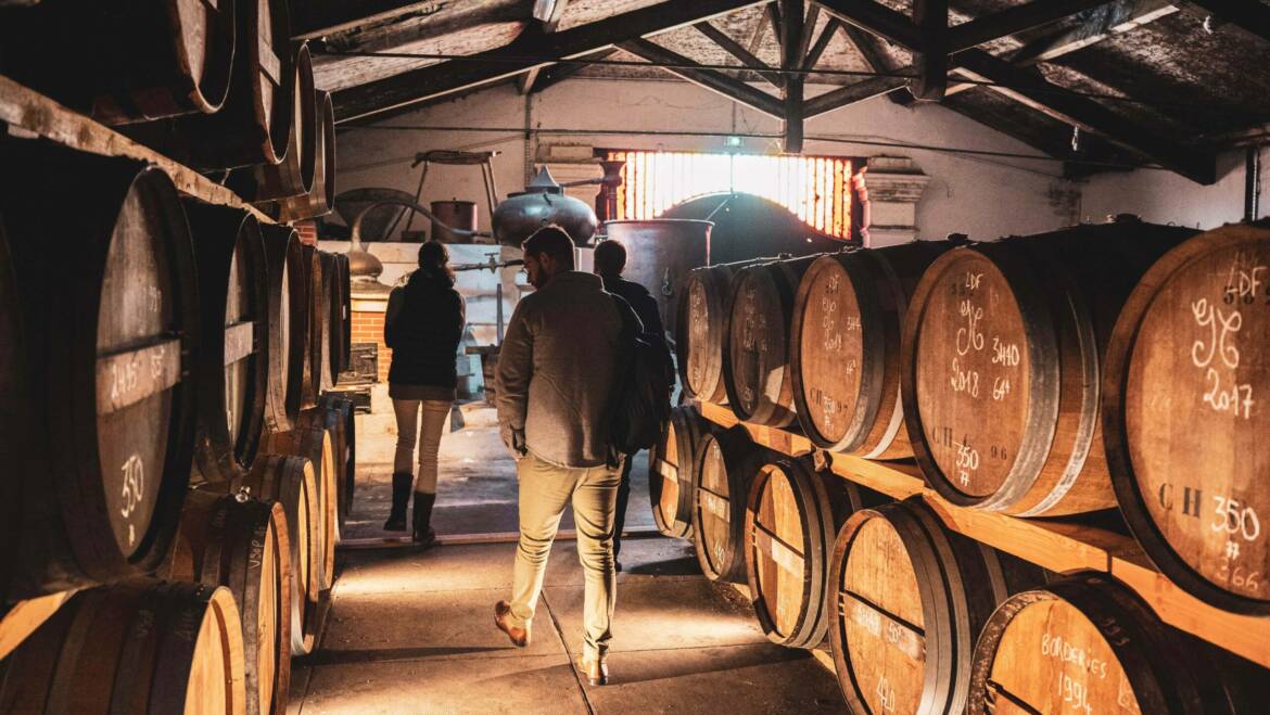 Le Vieillissement du Cognac : Un Processus Clé pour un Spiritueux d’Exception