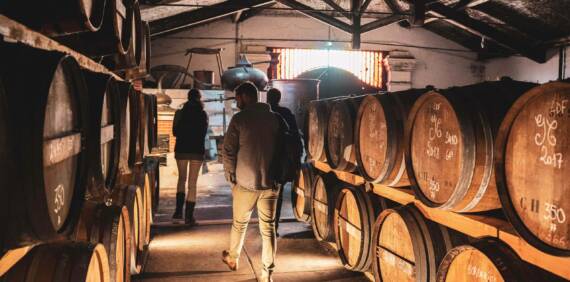 Le Vieillissement du Cognac : Un Processus Clé pour un Spiritueux d’Exception