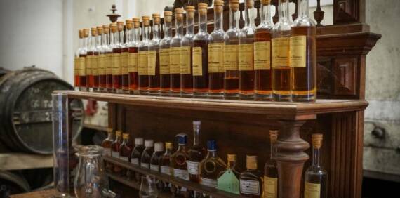 Cognac : Définition, Origine et Secrets de Fabrication