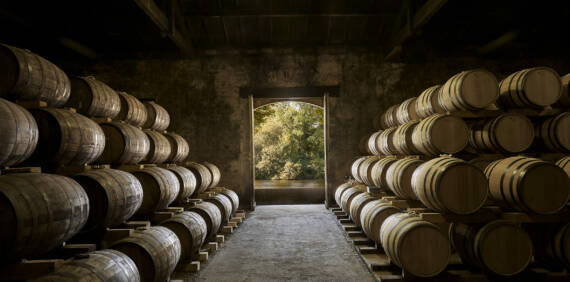 Histoire du Cognac : Origines, Évolution et Influence