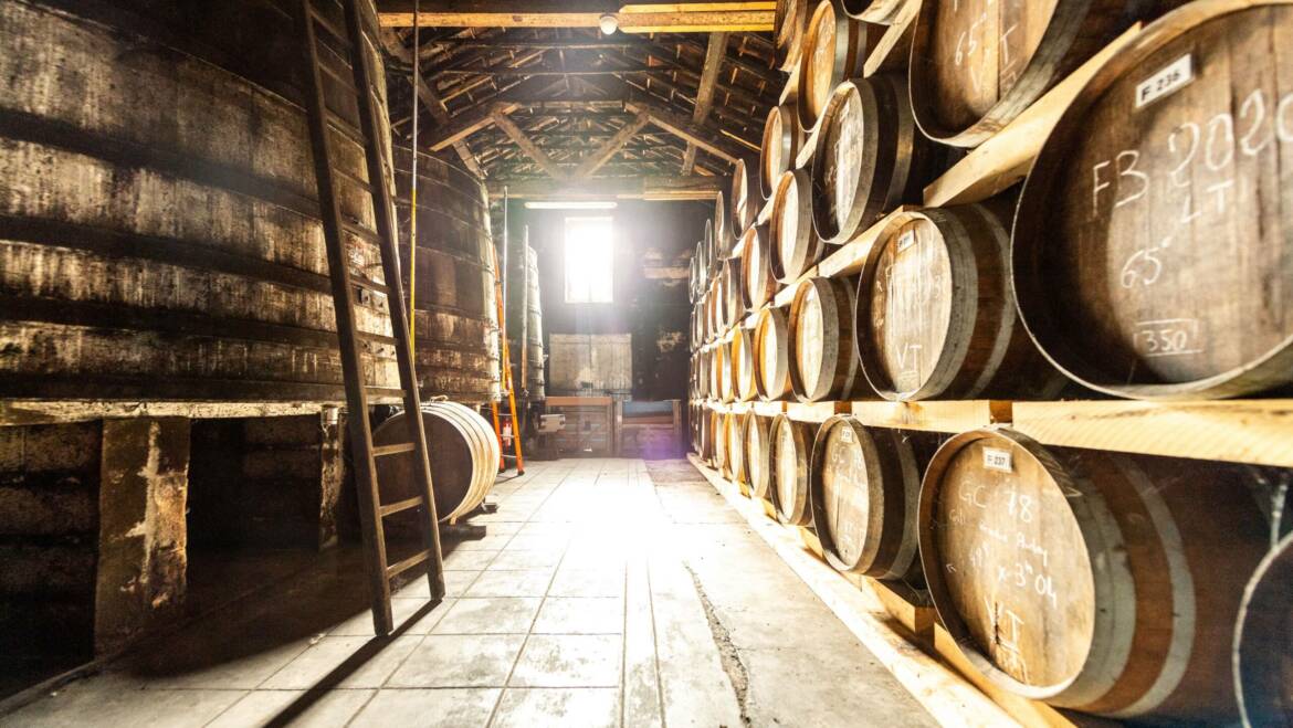 Napoléon dans le Cognac : Origine, Signification et Impact sur l’Industrie
