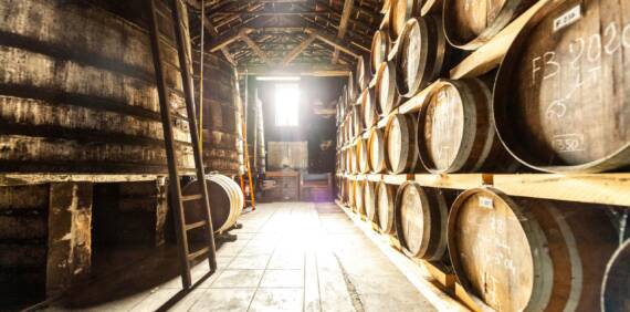 Napoléon dans le Cognac : Origine, Signification et Impact sur l’Industrie