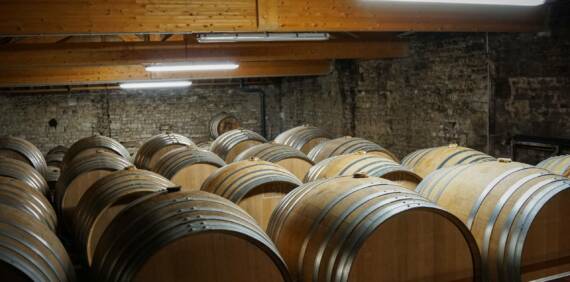 XO dans le Cognac : Signification, Histoire et Influence sur la Qualité